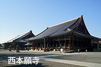 知恩院